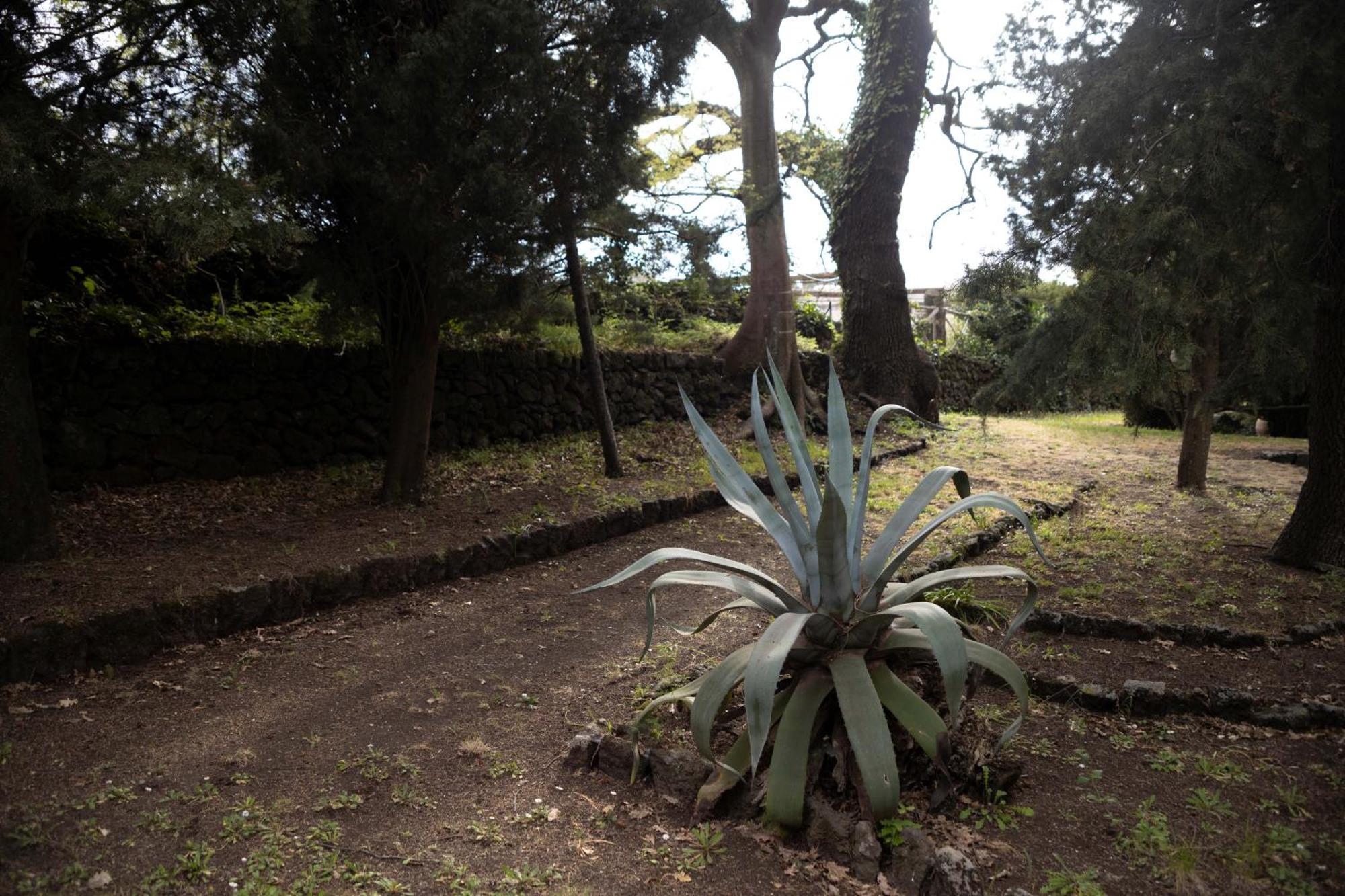 הוילה Montelaguardia Parco Statella מראה חיצוני תמונה
