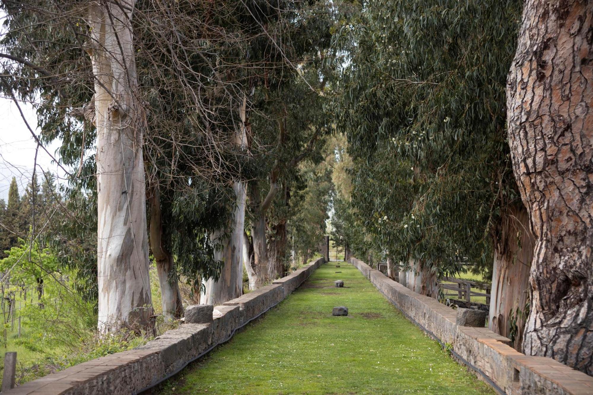 הוילה Montelaguardia Parco Statella מראה חיצוני תמונה